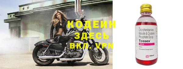 ГАЛЛЮЦИНОГЕННЫЕ ГРИБЫ Касимов