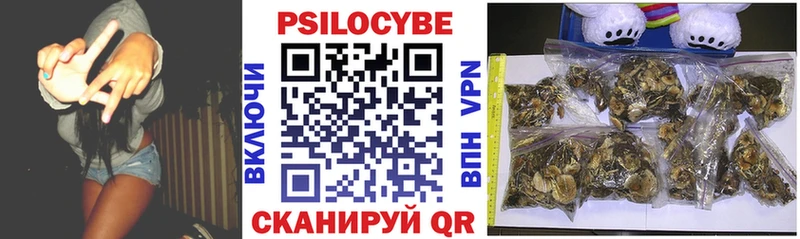 Псилоцибиновые грибы Psilocybe  Купить  Новый Уренгой 
